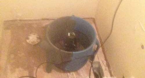 Toilet Supply Line Leak in Raleigh 11