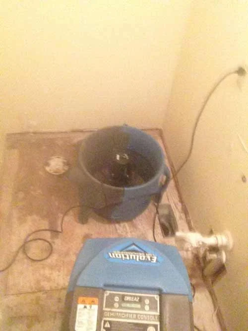 toiletsupplylinemitigation