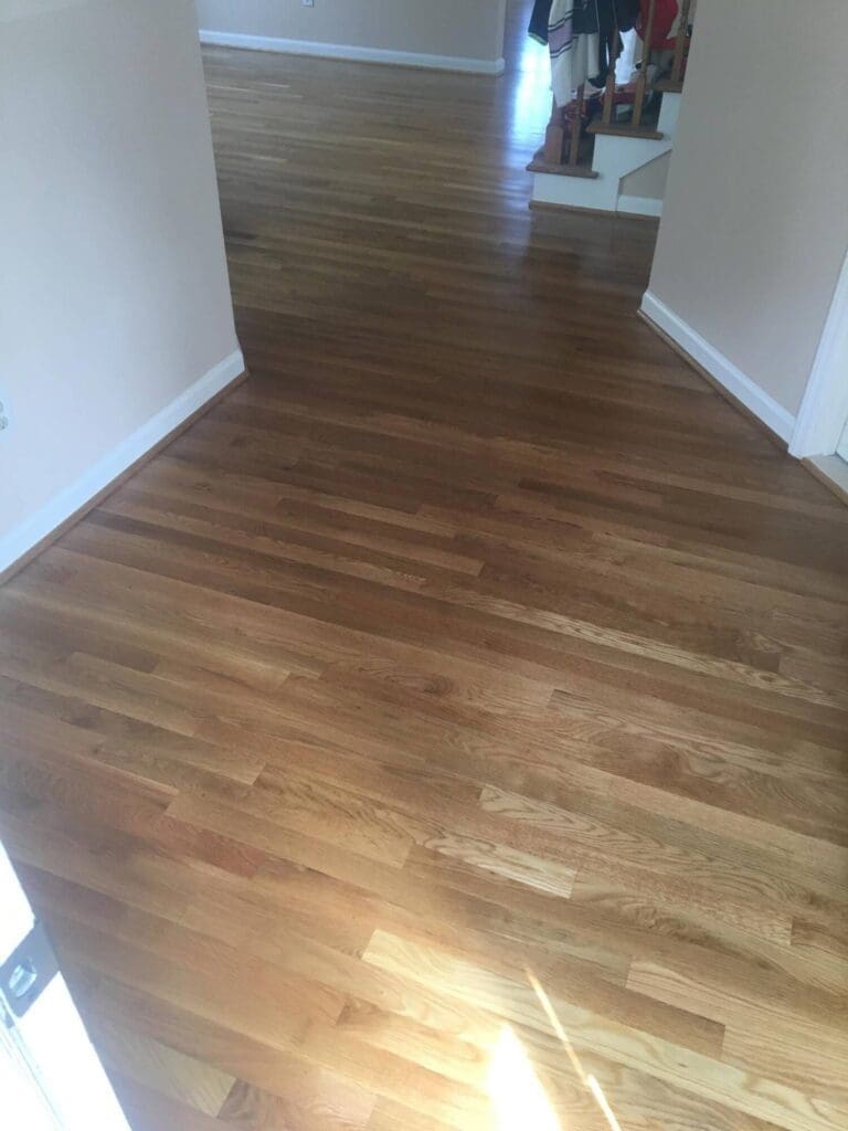 raleighleakingpipeafterfloor