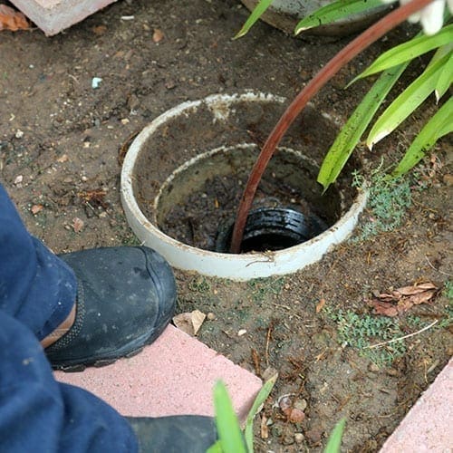 Sewer damage backup clean up in Raleigh NC