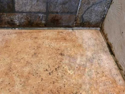 Bathroommoldinspectioncary