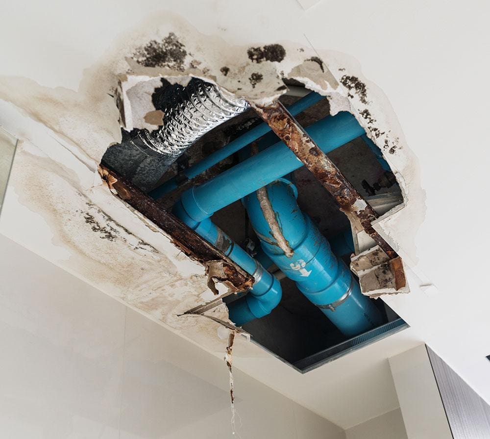 Ceiling-Leak-Repair Residential Restoration Services Raleigh NC