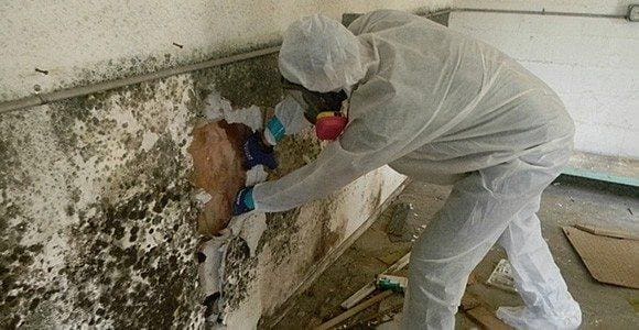 Commercial Mold Remediation in Fuquay Varina NC