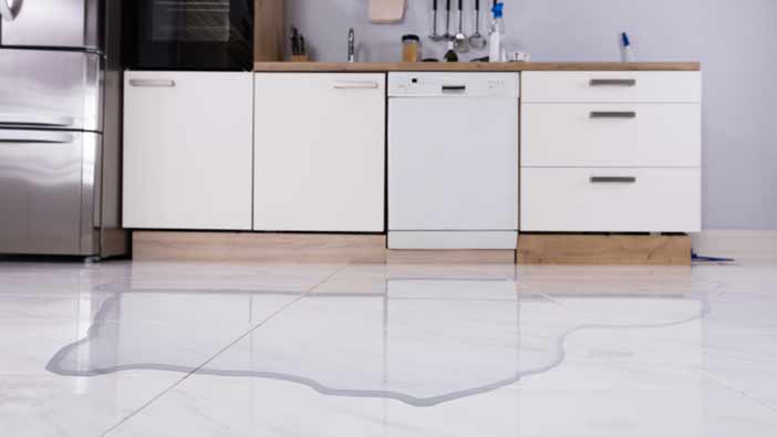 Dishwasher Repair, Damage Removal, and Cleanup in Knightdale, NC