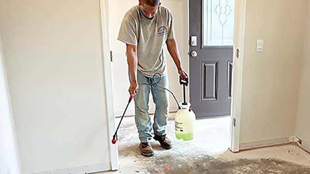 Mold Remediation in Cary & Raleigh NC