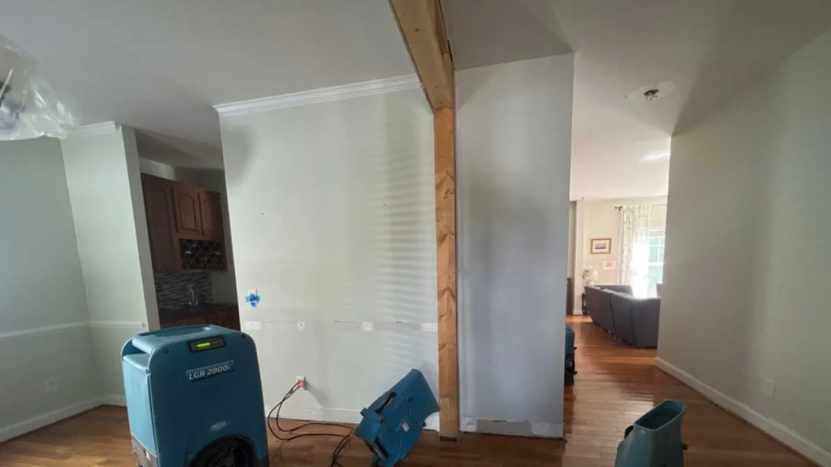 ceilingwaterdamagelandscaperaleigh