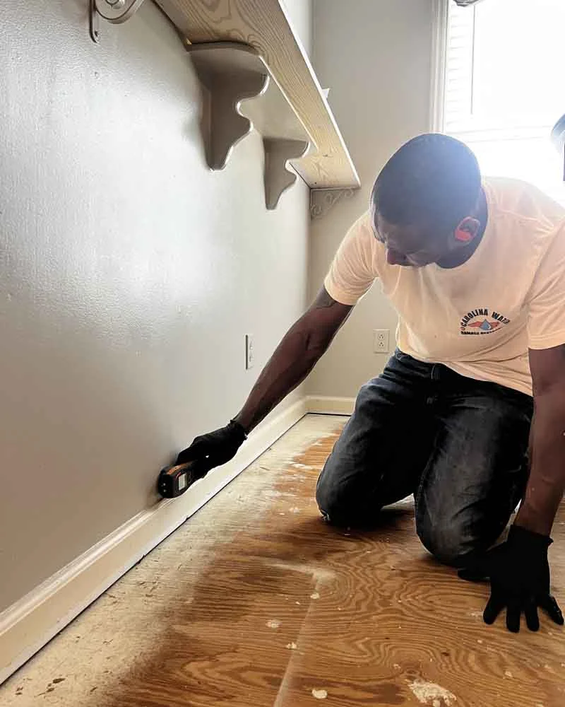 Mold Remediation in Fuquay Varina Mold Remediation in Fuquay Varina