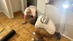 Hardwood Floor Water Damage Repair in Clayton Hardwood Floor Water Damage Repair in Clayton